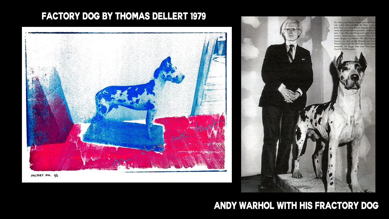 IN DOG WE TRUST copy